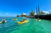 Private Water Bike in Condado Lagoon, San Juan