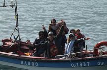 Private Nautical Tour Penguin Island, Cachagua, Valparaíso