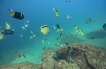 Los Cabos Open Water Diver Course