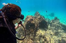 Los Cabos Open Water Diver Course