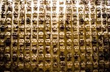 Exclusive tour to Templo Mayor in CDMX