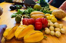 Oaxacan Vegetarian Cooking Class