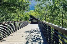 3 Hour Guided E Bike Tour in Zion National Park 
