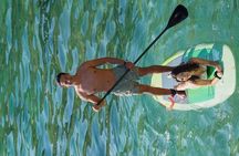 Tour Isla de la Roqueta Stand up paddle Acapulco