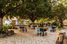 Day Tour Isla del Encanto in Barú and Rosario Islands
