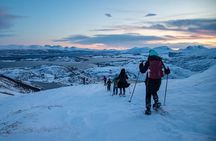 Tromsø: Arctic Landscapes Hiking / Snowshoeing Tour in the wild