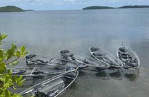 Crystal Kayak & Snorkel Eco Tour