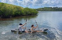 Crystal Kayak & Snorkel Eco Tour