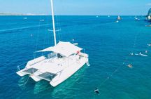 Snorkel Tour in private Trimarán in Los Cabos