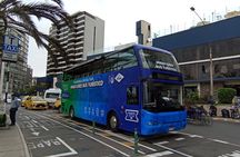 Bus Hop on - Hop off in Miraflores