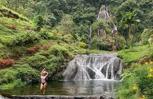 Coffee Farm and Santa Rosa Hot Springs Tour from Pereira or Armenia