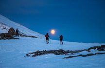Arctic Landscapes Hiking, Sightseeing & Snowshoeing Private Tour