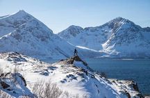 Arctic Landscapes Hiking, Sightseeing & Snowshoeing Private Tour