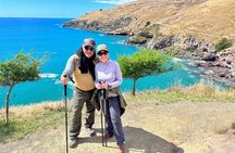 Full Day Guided Walking Tour and Picnic around Godley Head