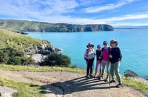 Full-Day Godley Head Coastal Hike with Picnic Lunch