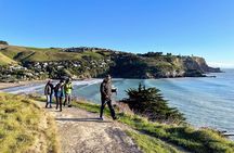 Full Day Guided Walking Tour and Picnic around Godley Head