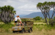 Selous Luxury Day Safari with Photographer