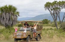 Selous Luxury Day Safari with Photographer