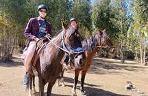 Horseback Riding Adventure in Cusco