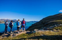 Full Day Guided Walking Tour and Picnic around Godley Head