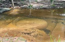 Kbal Spean Lingar River, Banteay Srei Temple & Pre Rup Tour