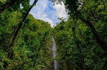 Hike Trail to Waterfall