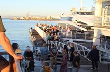 Half Day Experience in Robben Island Museum From Cape Town