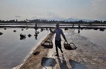 Discover Kampot’s Highlight include Pepper Farm & Kayak trip