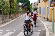 Full Day Ebike Tour in the Luberon Region from Avignon