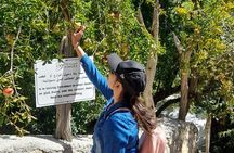 Private 2 - Days Jebel Akhdar Overnight Camping Tours