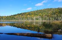 Scenic Hiking Adventure at Mont-Orford National Park