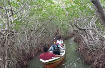 Artisanal Canoe Tour in the Mangrove with Afro-Caribbean Dance