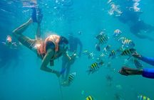 Full Day Cartagena Tour of 5 Islands with Plankton Included
