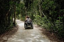 Double Atv Tour In Cozumel And Cenote Jade