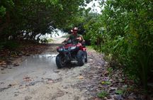 Double Atv Tour In Cozumel And Cenote Jade