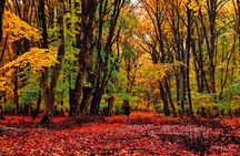 Gabala,Shamakhi, Caucasus mountains Day Trip Tour 
