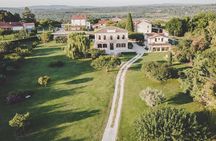 Buje: Authentic Istrian family farm, guided walk, foods & wine