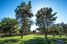 Olympia’s Treasures: Archaeological Gems and Coastal Beauty
