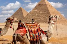 Cairo by Bus: Pyramids & Egyptian Museum Day Tour from Sharm 