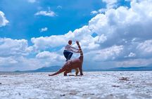 Full Day Tour To The Salt Lake Salinas in Arequipa