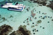 6-Hours Tour East Coast of Antigua: Stingray City, Lunch & Beach