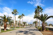 Cyprus’s History and Charm Full-Day Private Tour from Paphos