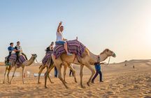 Dubai: Premium Safari, Camel Ride, Bedouin Camp with BBQ Dinner 