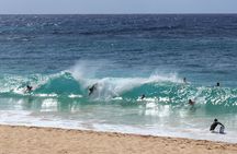 Stunning views of Oahu. Waikiki to North Shore on a scenic tour.