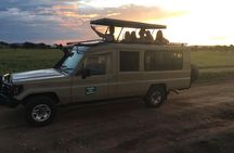 2 Days Tarangire park and Ngorongoro Crater from Zanzibar 