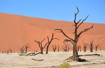 2 Days Guided Tour in Sossusvlei and Sandwich Harbor