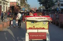 Private Rickshaw Tour Old Delhi (Patented Rickshaw Design)