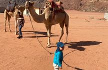Wadi Rum 4 hours morning tour or sunset tour Desert Highlights 