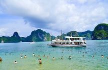 Halong Bay Standard Day Tour with Expressway Transfer from Hanoi 