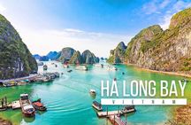 Halong Bay Standard Day Tour with Expressway Transfer from Hanoi 